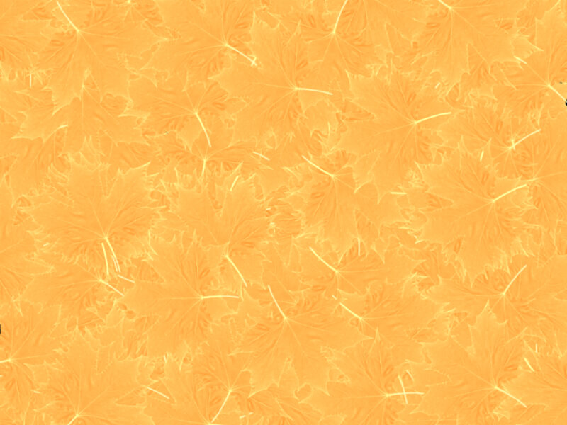 Maple Leaf Pattern