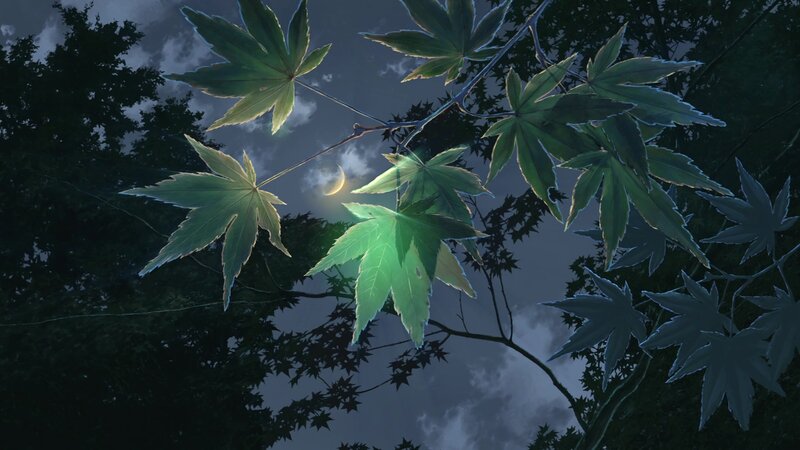 Maple Leaves at Night — Green, Serene