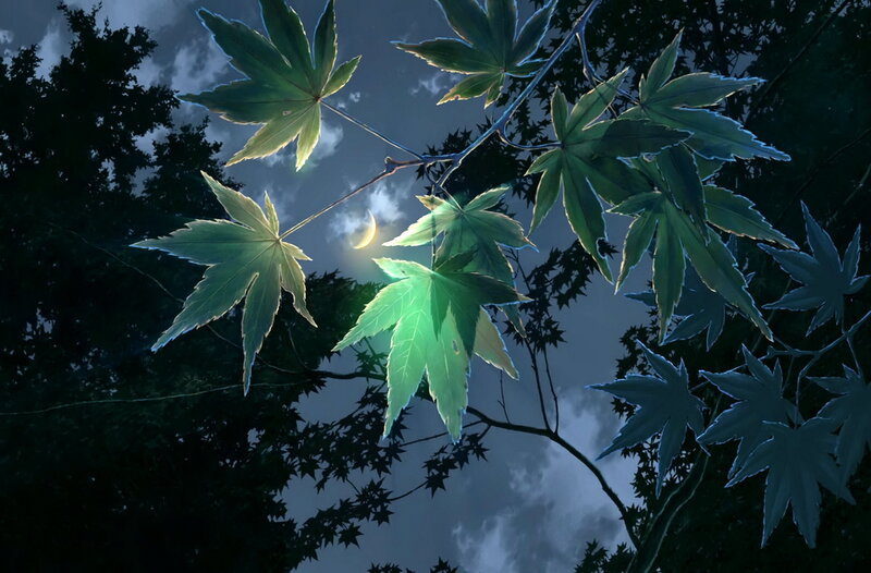 Maple Leaves at Night