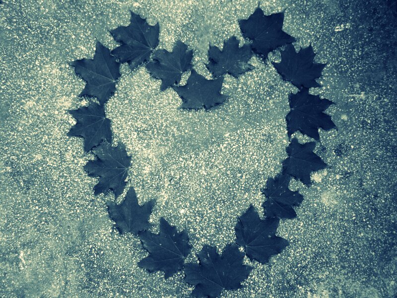 Maple Leaves in Heart Shape
