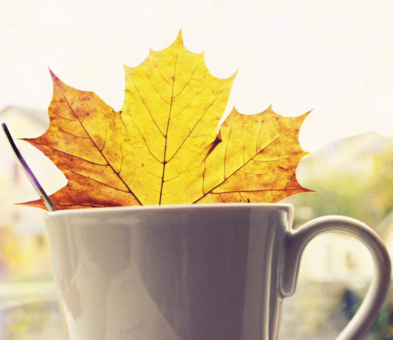 Maple Leaves in Mug