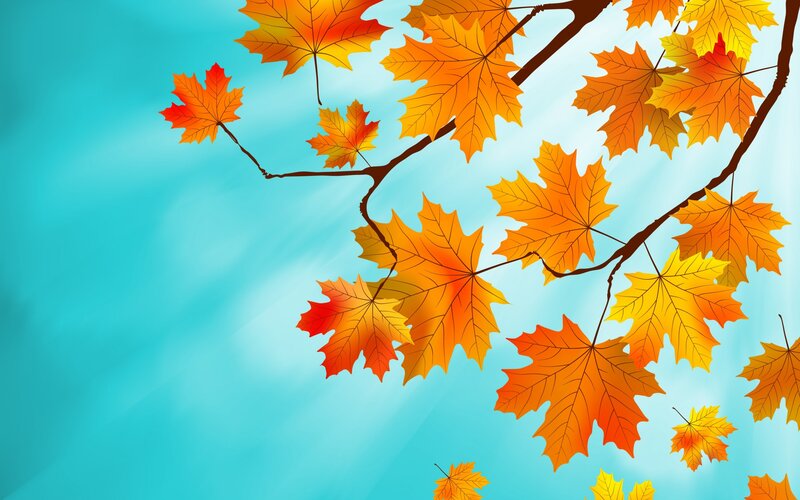 Maple Leaves on Branch — Orange, Serene