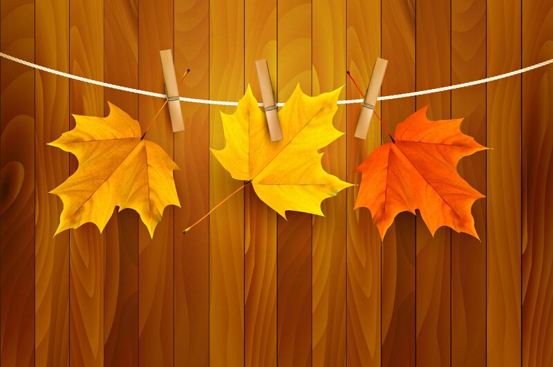 Maple Leaves on Clothesline