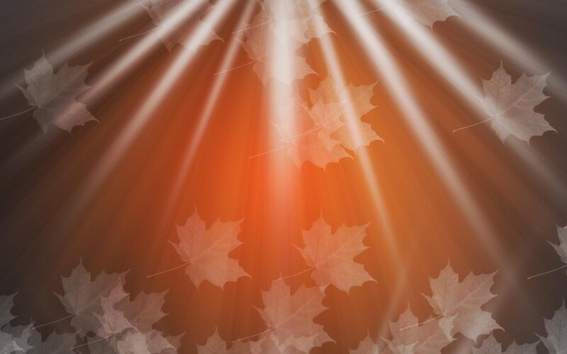 Maple Leaves with Light Rays — Orange