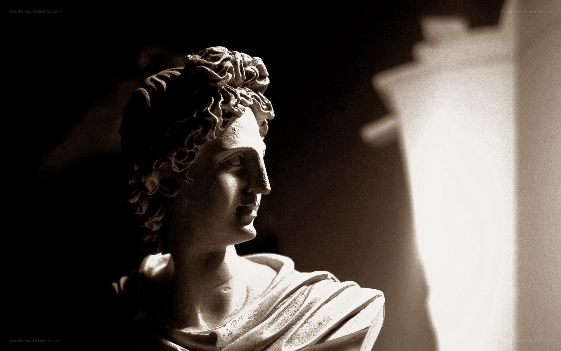 marble bust in sepia
