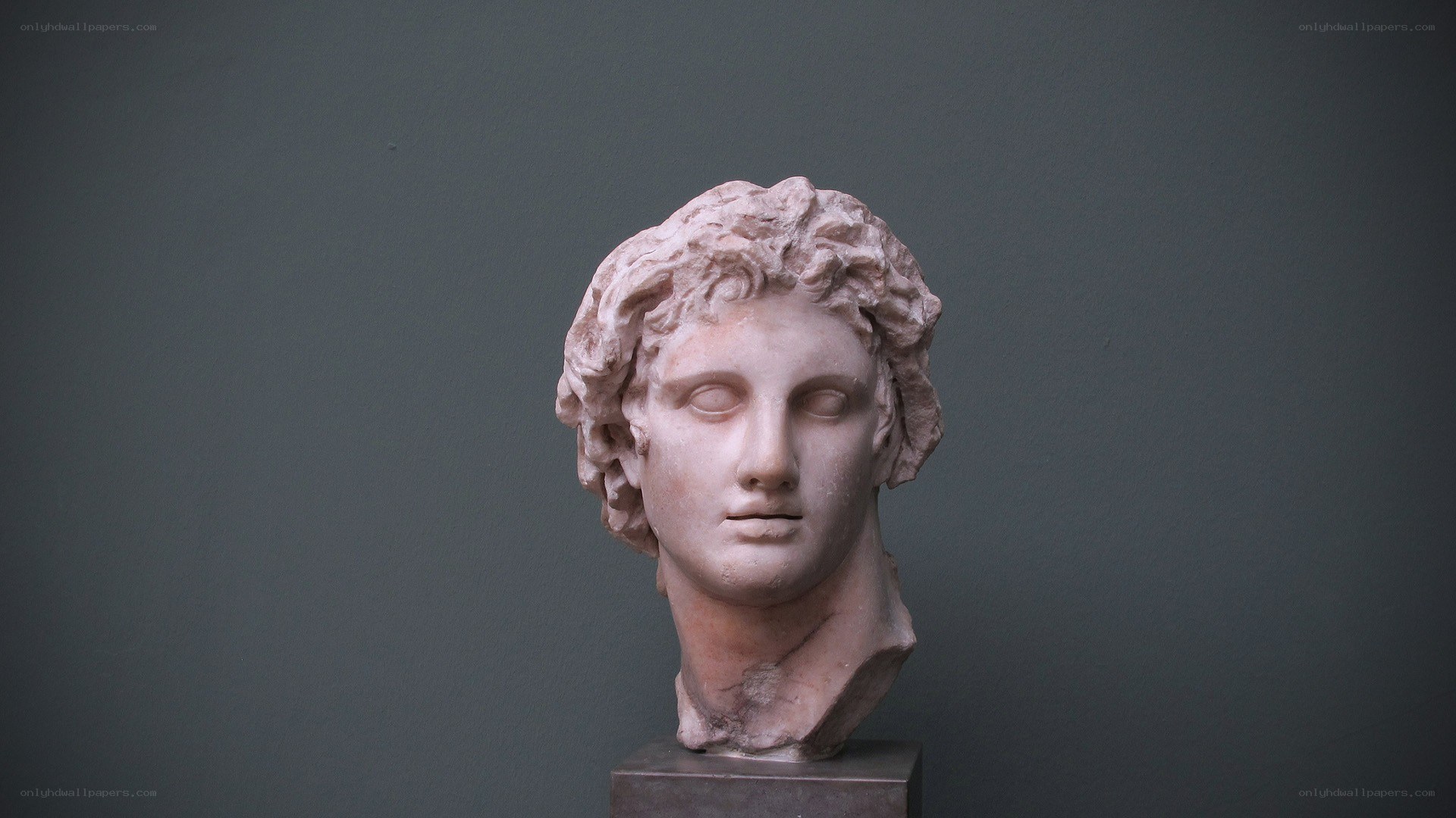 marble bust of a classical figure