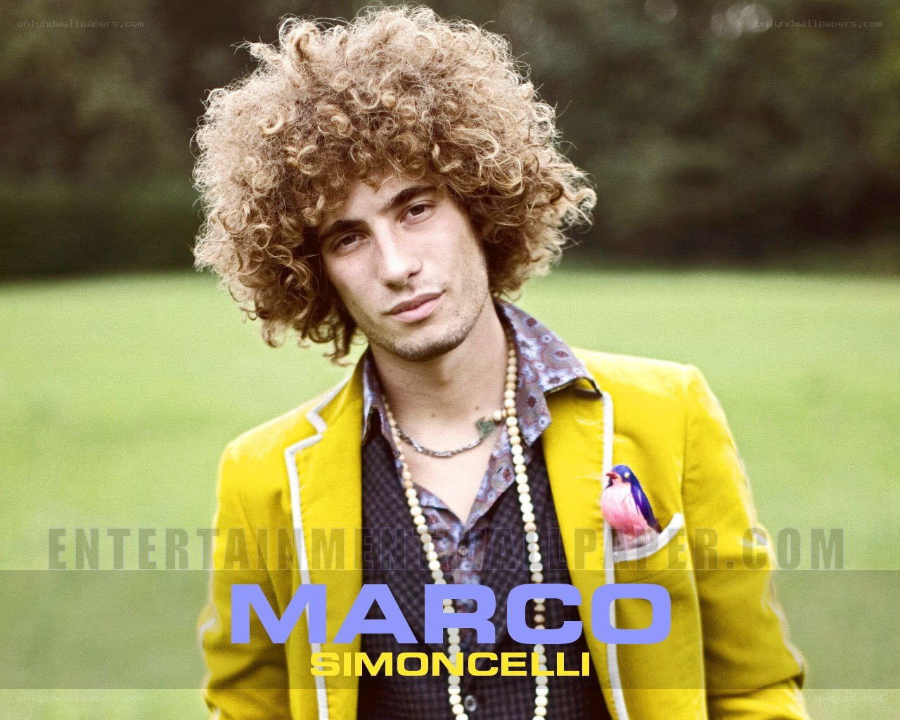 Marco Simoncelli portrait
