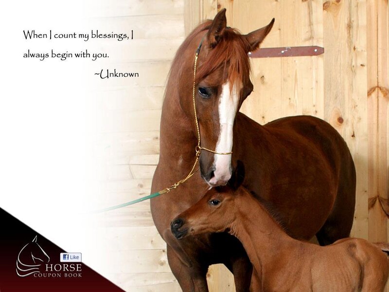 Mare and Foal — Brown, Serene