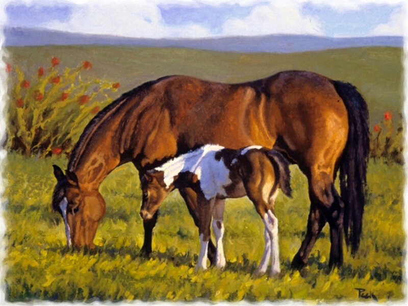 Mare and Foal Grazing — Green, Serene