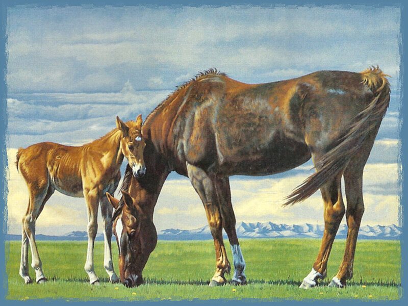 Mare and Foal Grazing