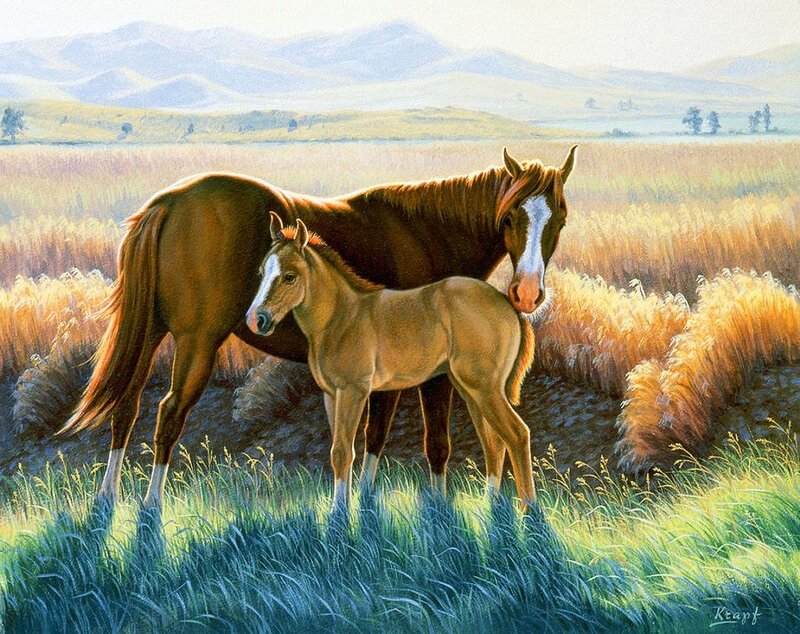 Mare and Foal in Field — Brown