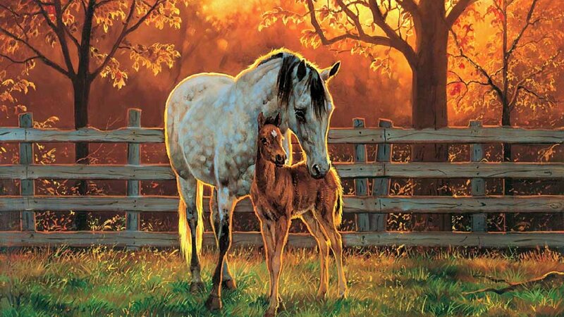 Mare and Foal — Orange
