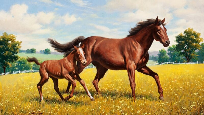 Mare and Foal Running — Brown, Serene, Afternoon