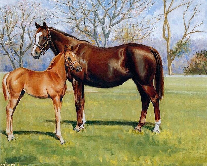 Mare and Foal Standing