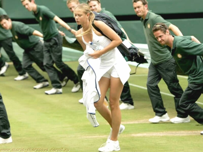 Maria Sharapova on grass court