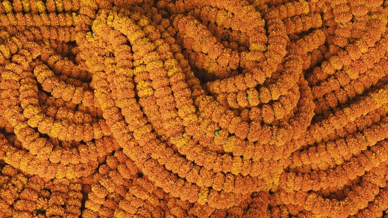 Marigold Flower Garlands