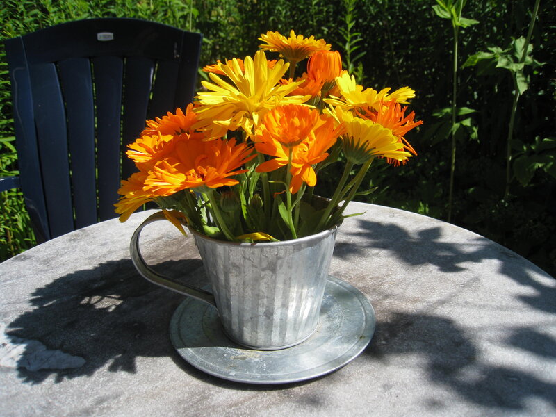 Marigold Flowers in Cup