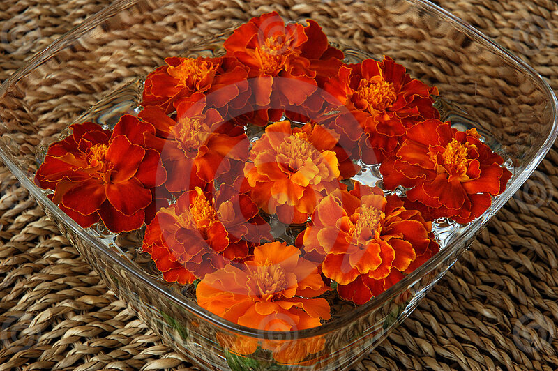 Marigold Flowers in Water