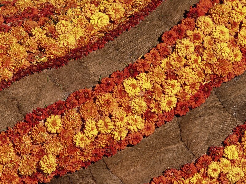 Marigold Flowers on Mat