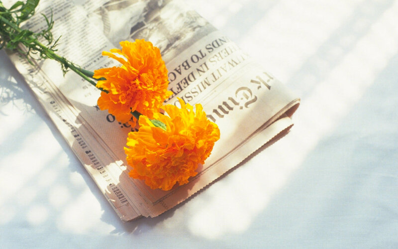 Marigold Flowers on Newspaper