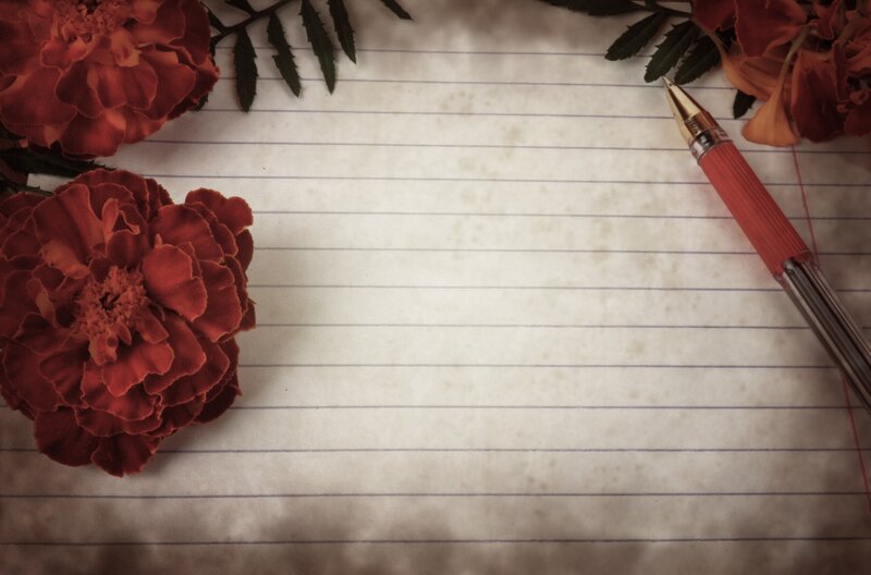 Marigold Flowers on Paper