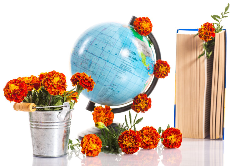 Marigold Flowers with Globe