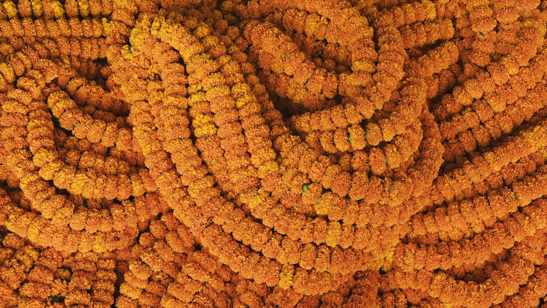 marigold garlands in a pile