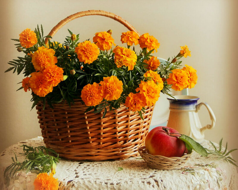Marigolds in Basket