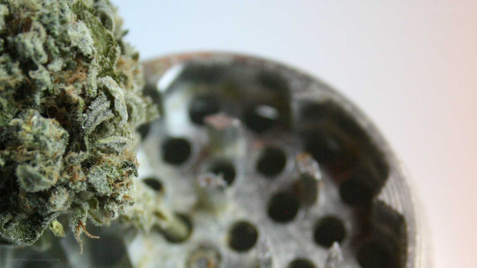 marijuana bud and grinder