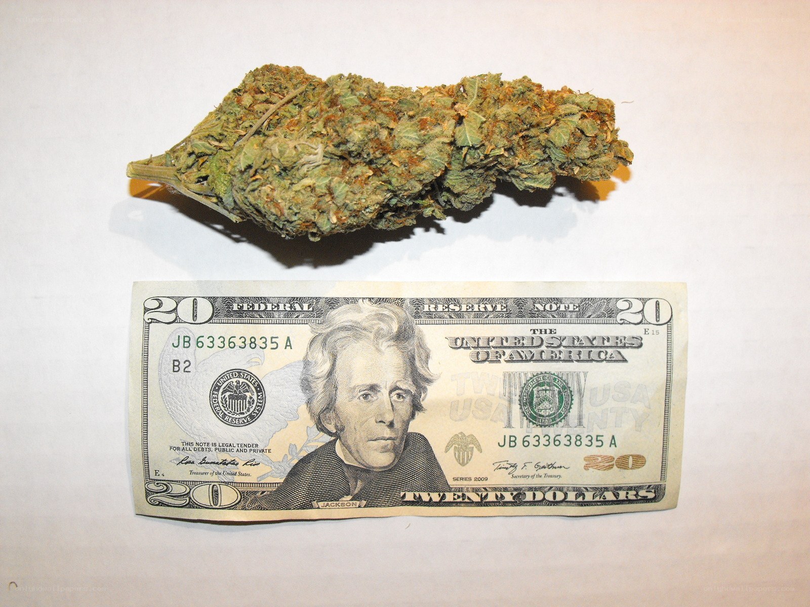 marijuana bud and twenty dollar bill
