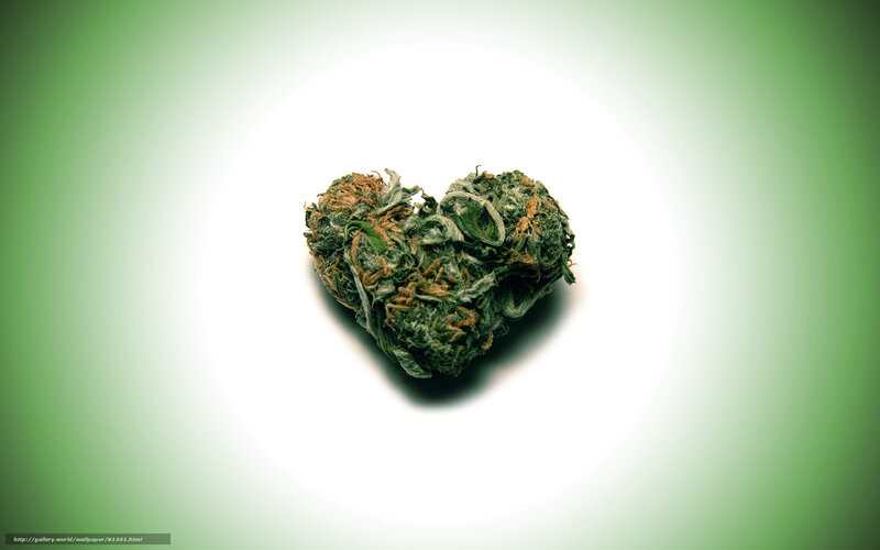 marijuana bud in heart shape