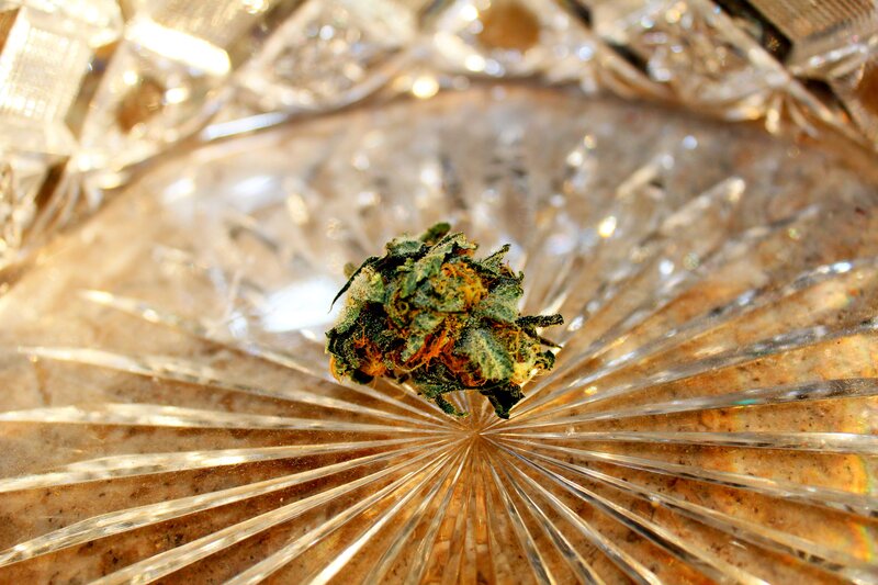marijuana bud on crystal dish
