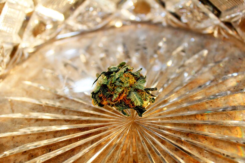 Marijuana Bud on Glass — Green