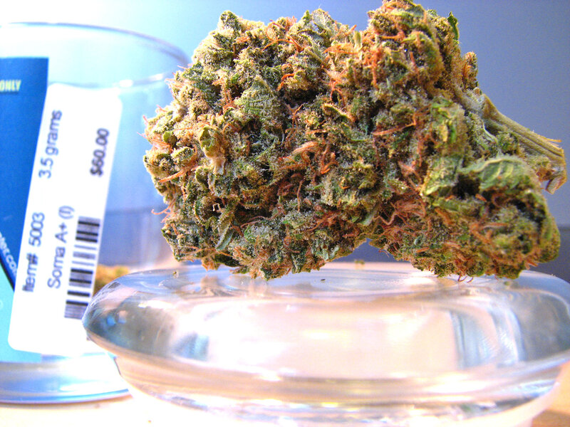 Marijuana Bud on Glass