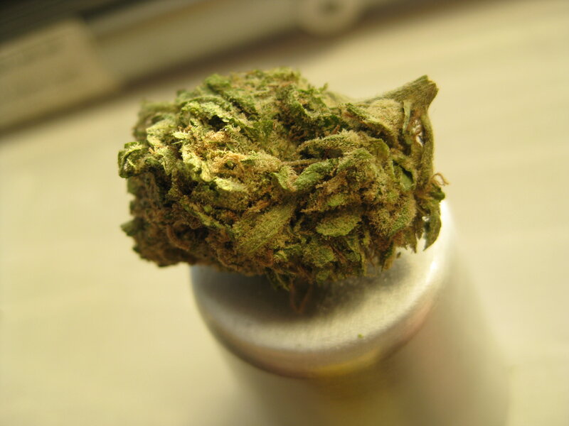 Marijuana Bud on Surface