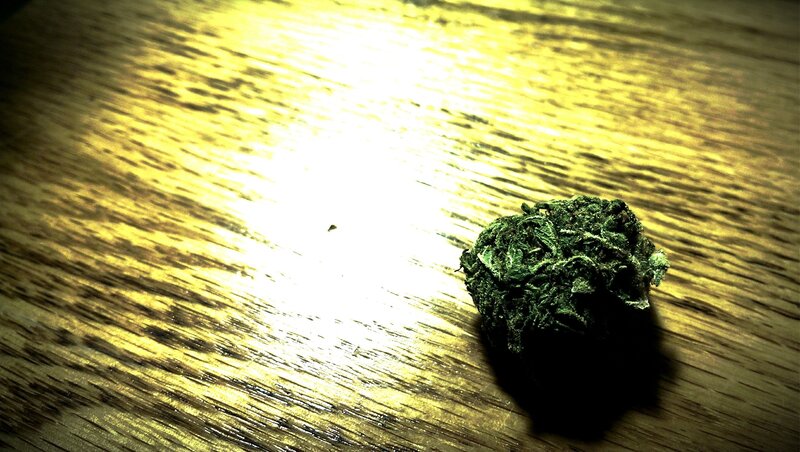 Marijuana Bud on Wood — Green