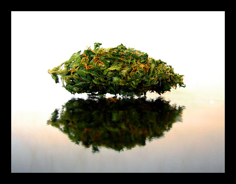 marijuana bud reflection