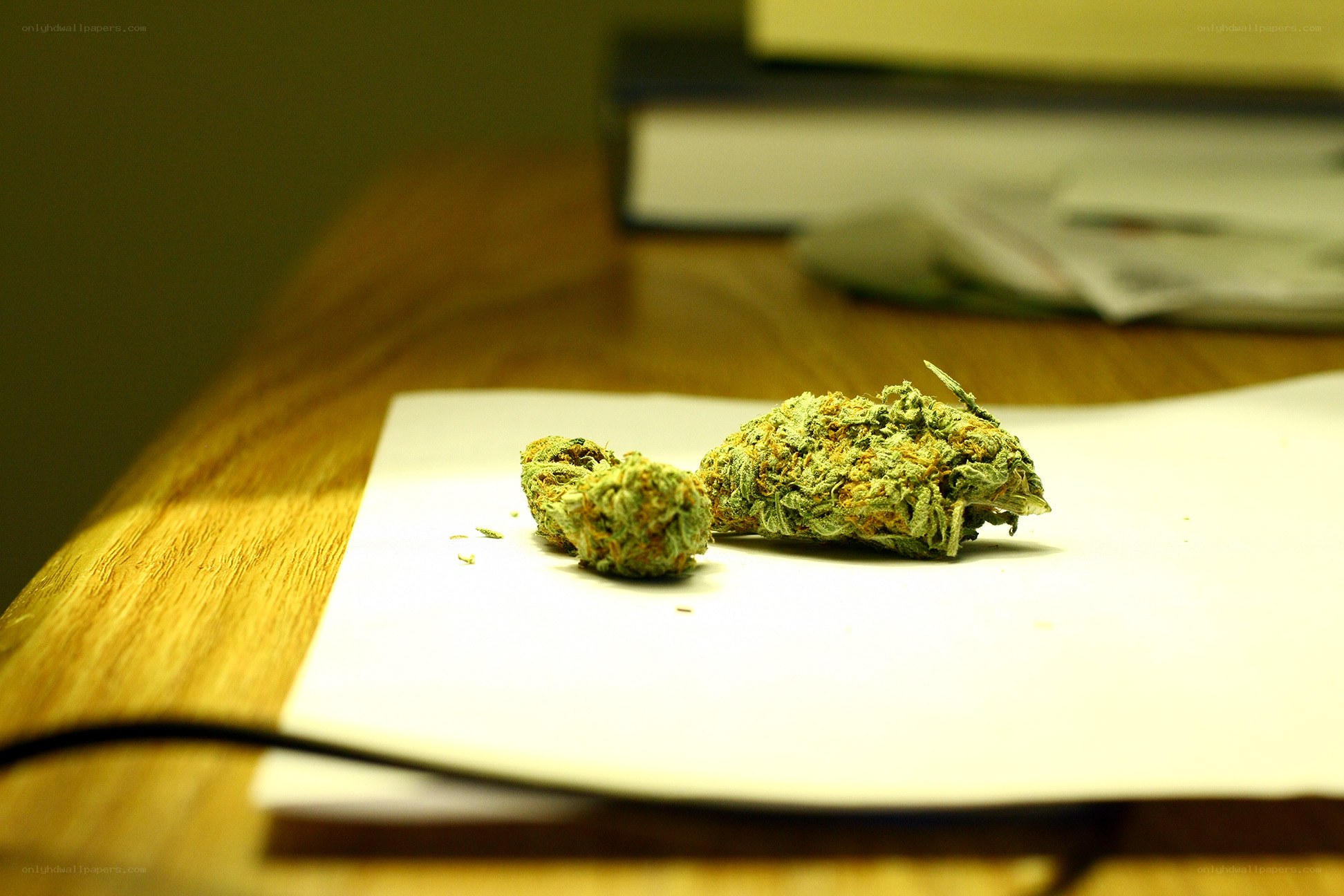 marijuana buds on paper
