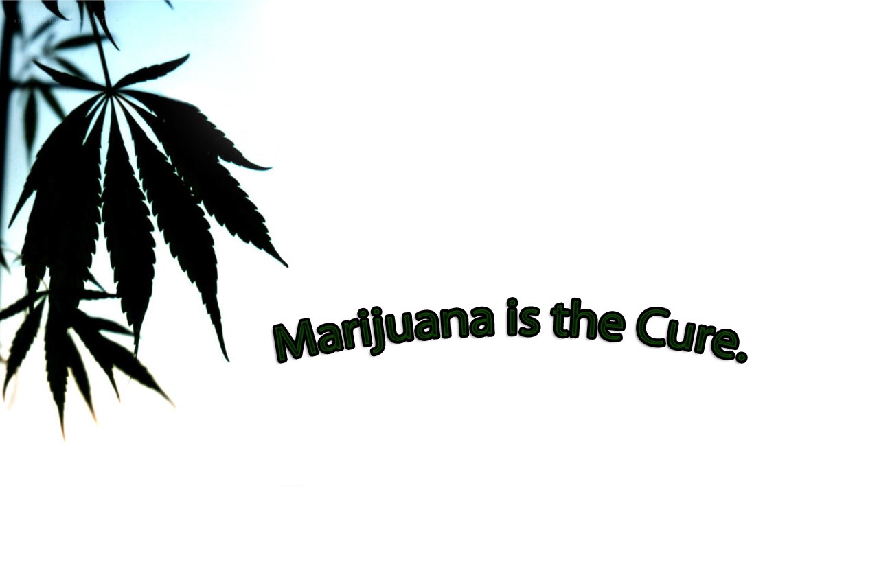 Marijuana is the Cure