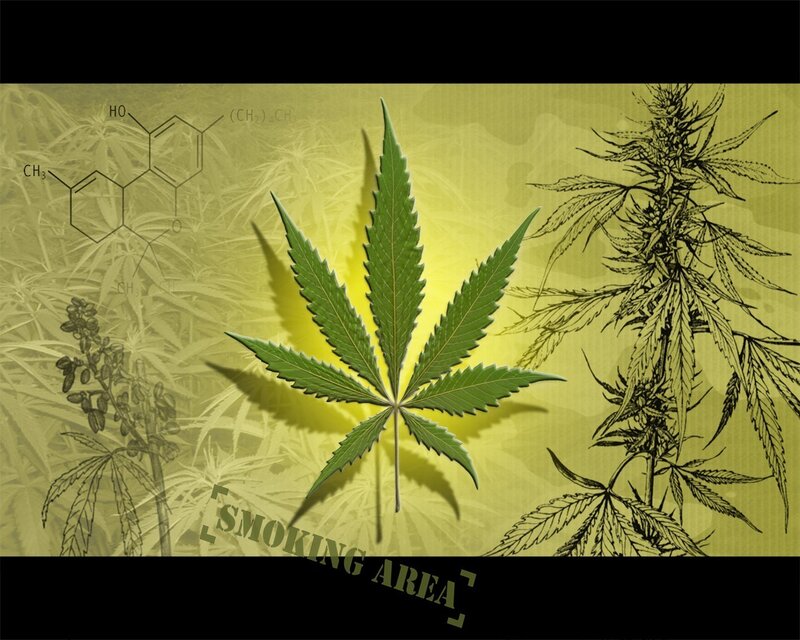 marijuana leaf and chemical structure
