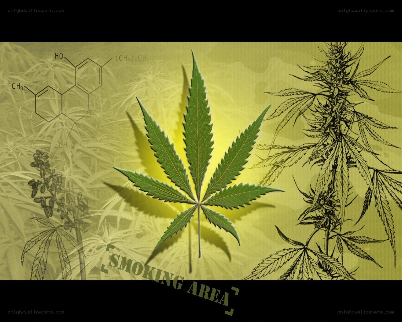 marijuana leaf and chemical structure