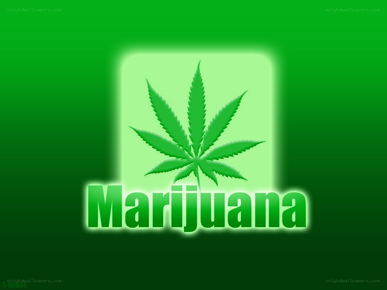 Marijuana leaf graphic