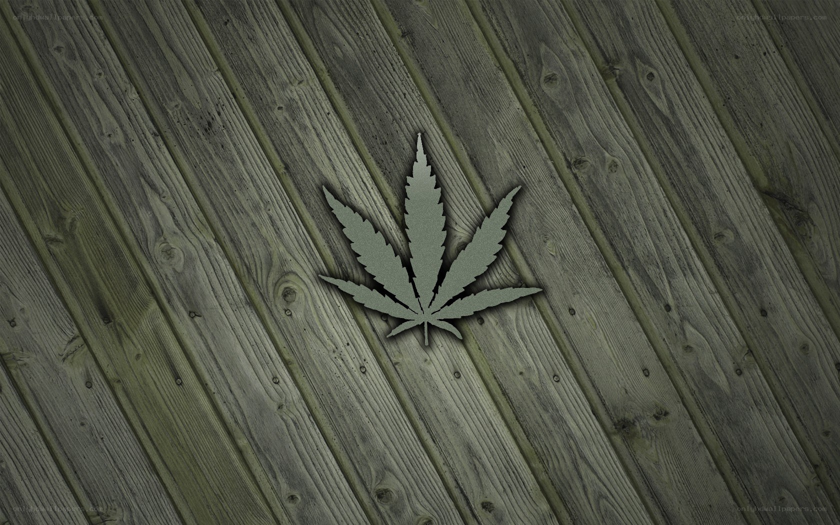 marijuana leaf on wood