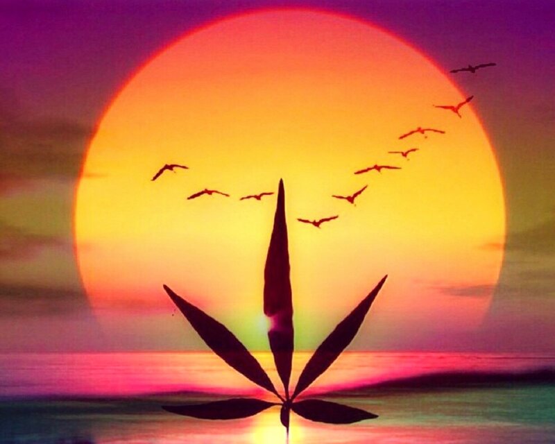 Marijuana Leaf Silhouette
