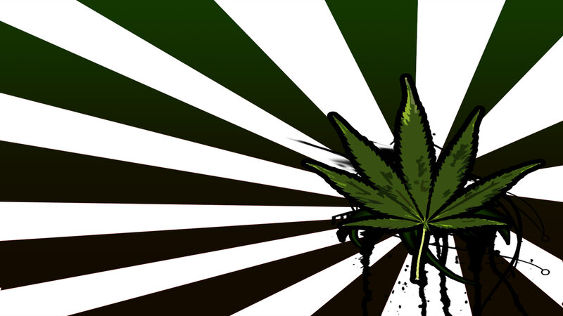marijuana leaf with sunburst