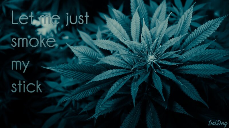 marijuana plant with text