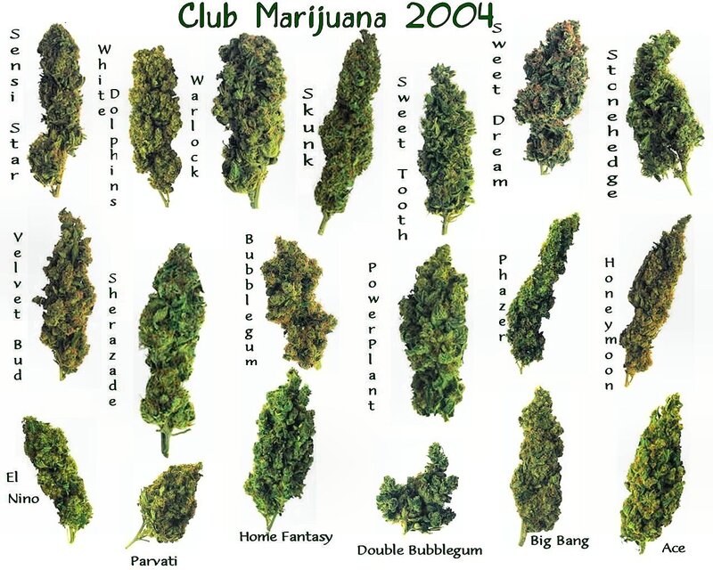 Marijuana strain collection