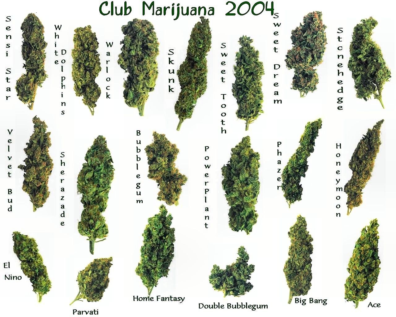 Marijuana strain collection