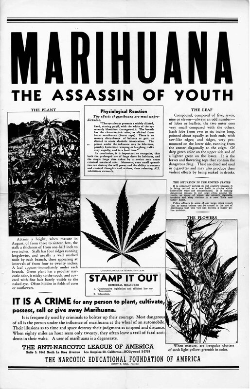Marijuana: The Assassin of Youth