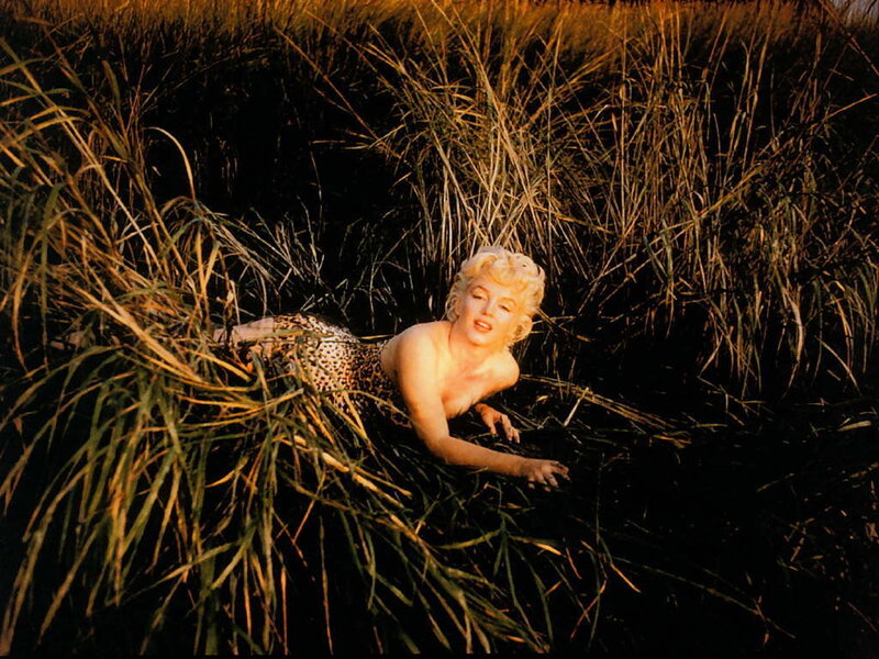 Marilyn in a field